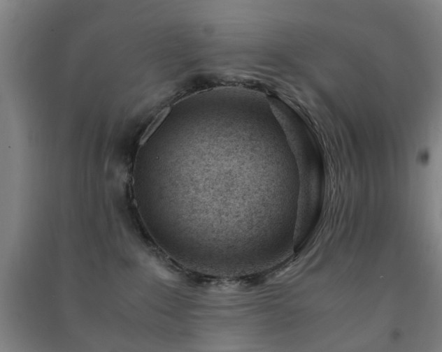 X0000091450235200708161304