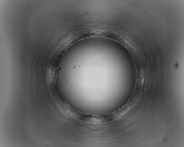 X0000091450236200708161304