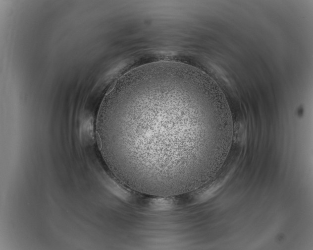 X0000091450238200708161304