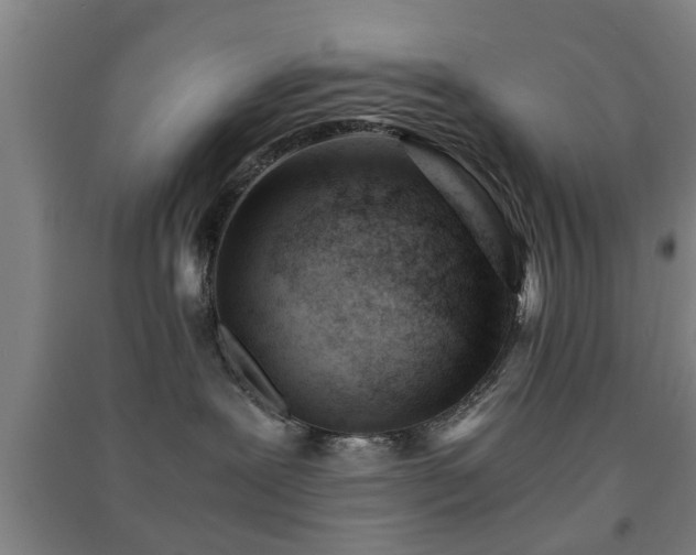 X0000091450239200708161304