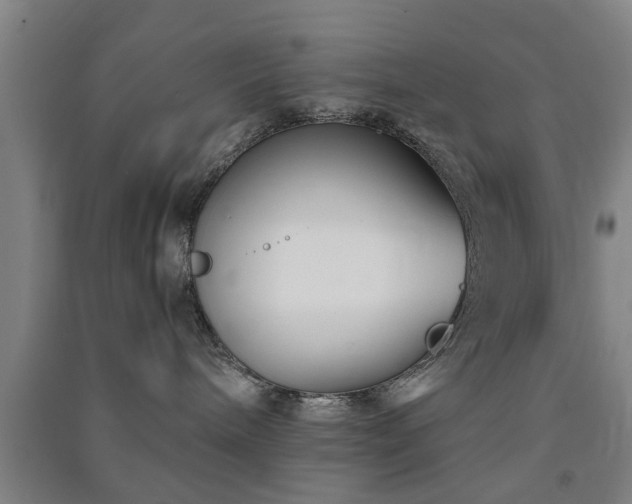X0000091450240200708161304