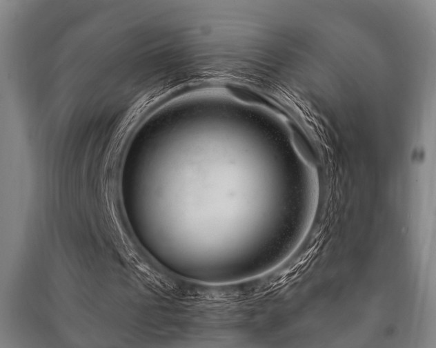 X0000091450241200708161304