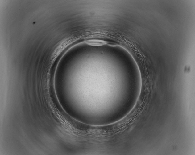 X0000091450242200708161304