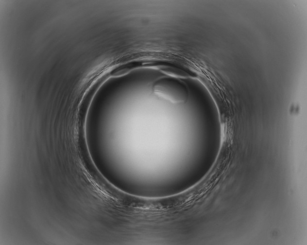 X0000091450243200708161304