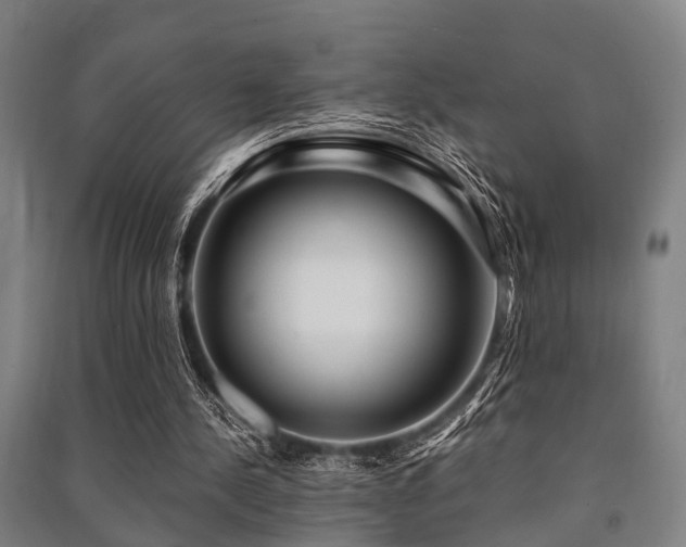 X0000091450244200708161304