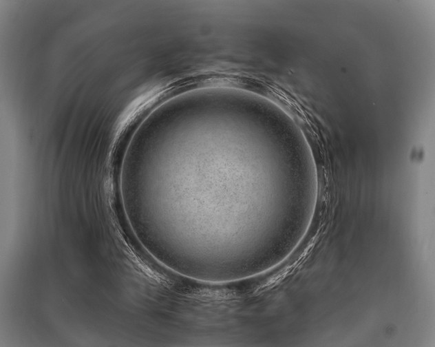 X0000091450245200708161304