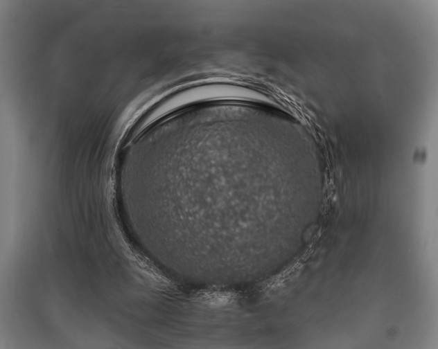 X0000091450247200708161304
