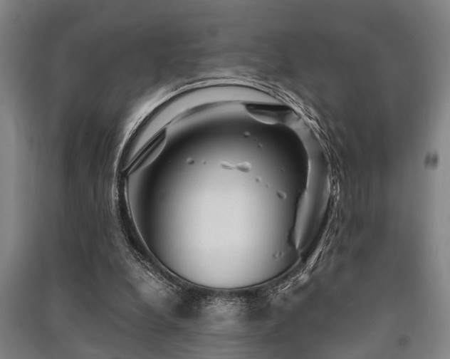 X0000091450248200708161304