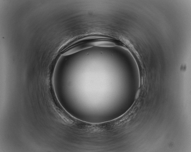 X0000091450249200708161304
