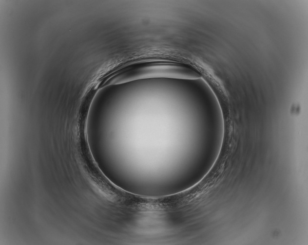 X0000091450250200708161304