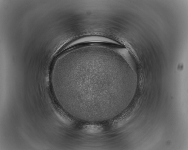 X0000091450251200708161304