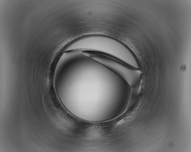 X0000091450252200708161304