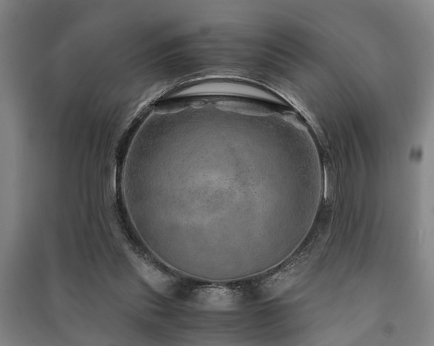 X0000091450253200708161304