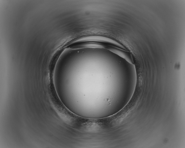 X0000091450254200708161304