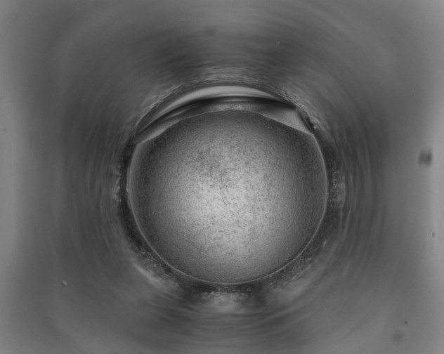 X0000091450255200708161304