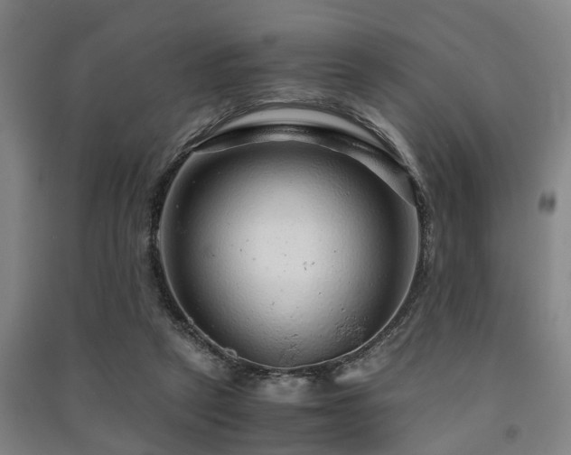 X0000091450257200708161304
