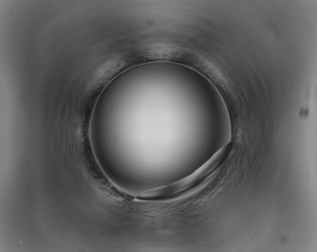 X0000091450258200708161304