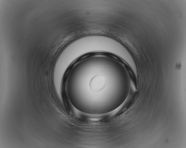 X0000091450260200708161304