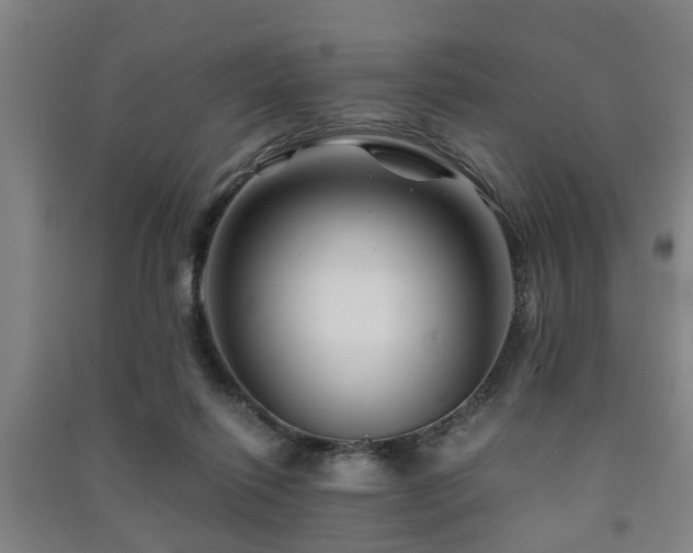 X0000091450262200708161304