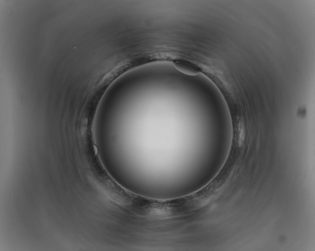 X0000091450263200708161304