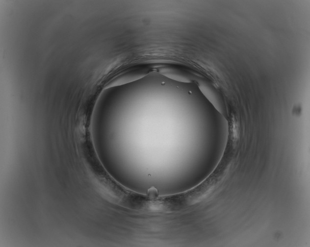 X0000091450264200708161304