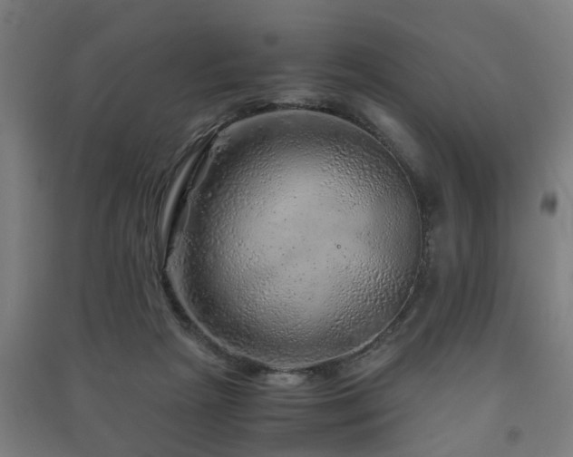 X0000091450265200708161304