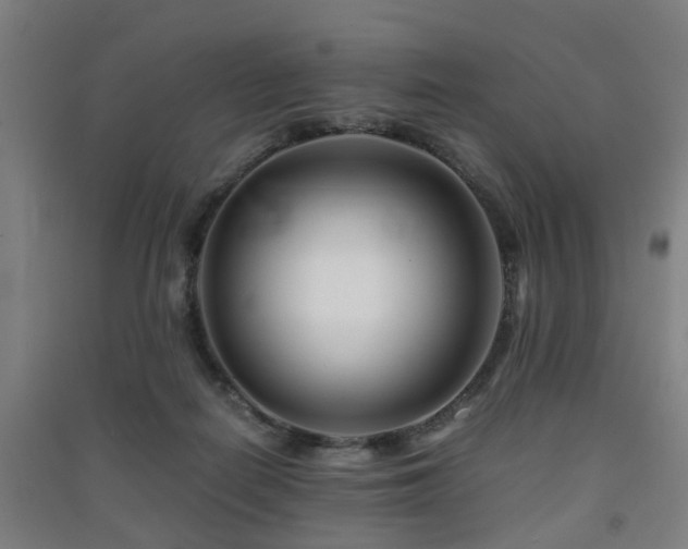 X0000091450266200708161304