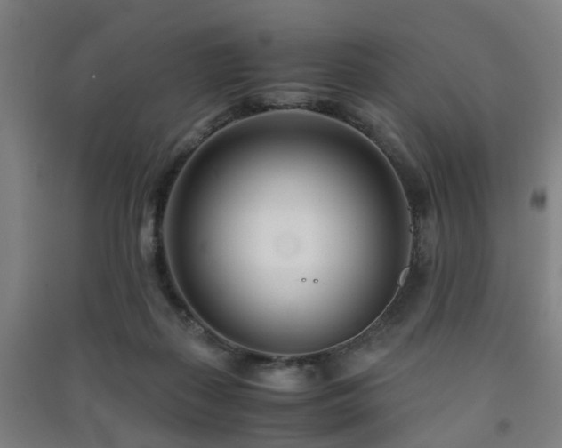X0000091450267200708161304