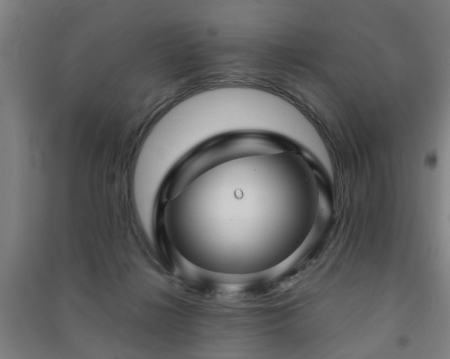 X0000091450268200708161304