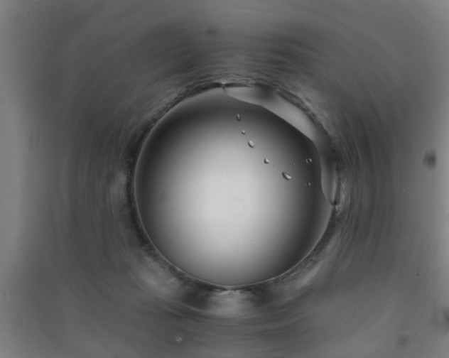 X0000091450269200708161304