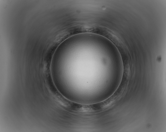 X0000091450270200708161304