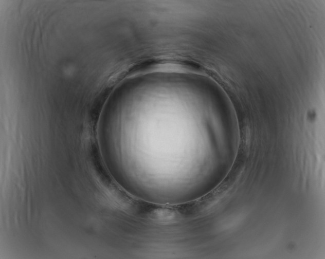 X0000091450272200708161304
