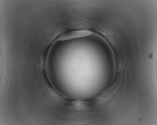 X0000091450273200708161304