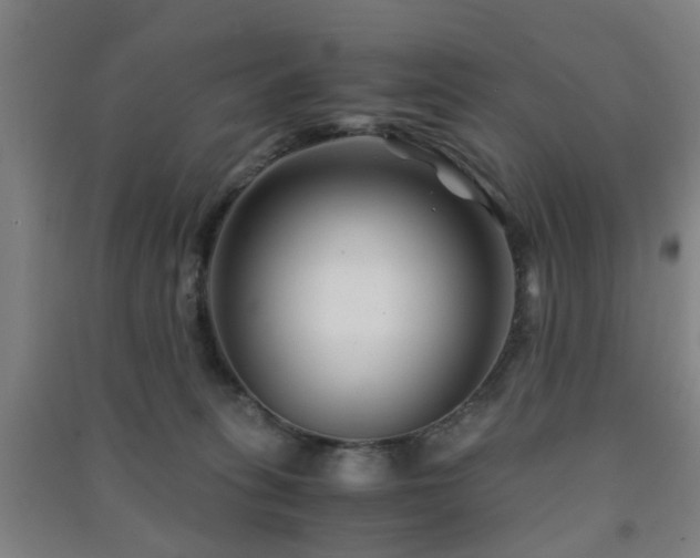 X0000091450275200708161304