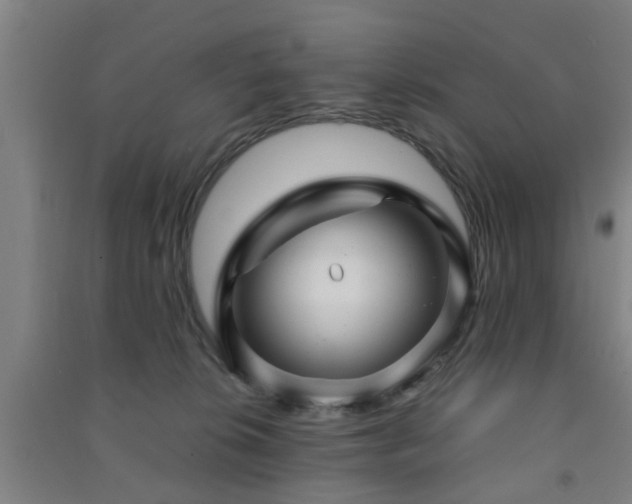 X0000091450276200708161304