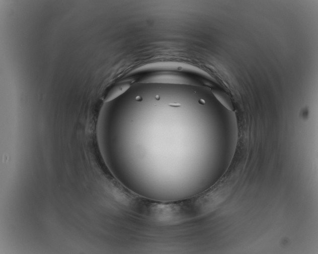 X0000091450277200708161304