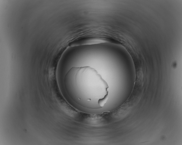 X0000091450278200708161304
