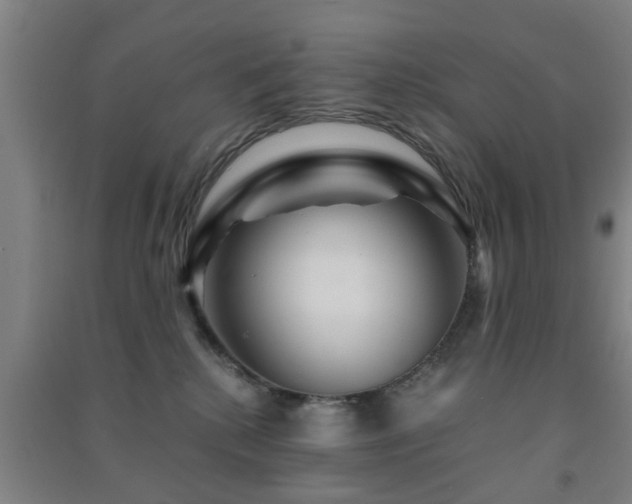 X0000091450280200708161304