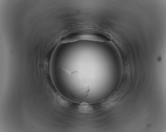 X0000091450281200708161304