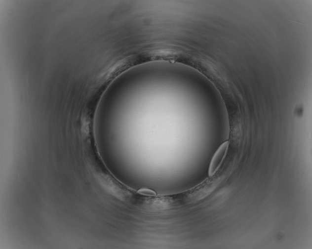 X0000091450282200708161304