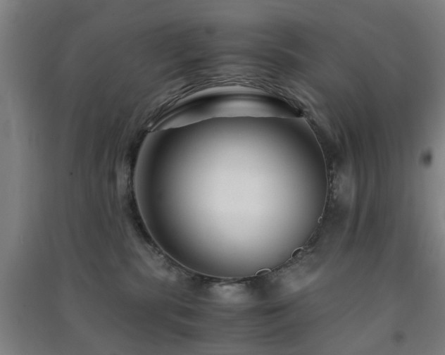 X0000091450283200708161304