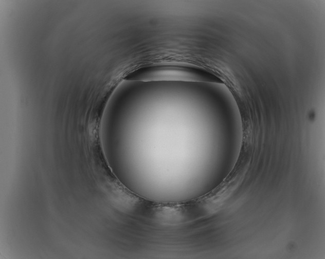 X0000091450285200708161304