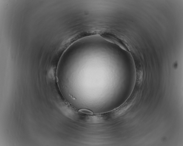 X0000091450286200708161304