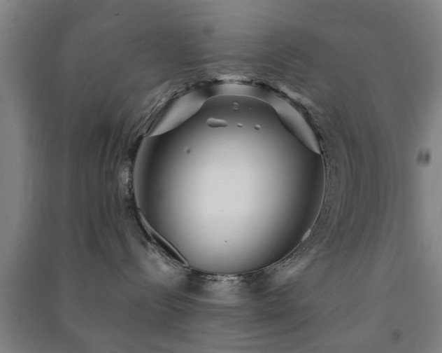 X0000091450288200708161304