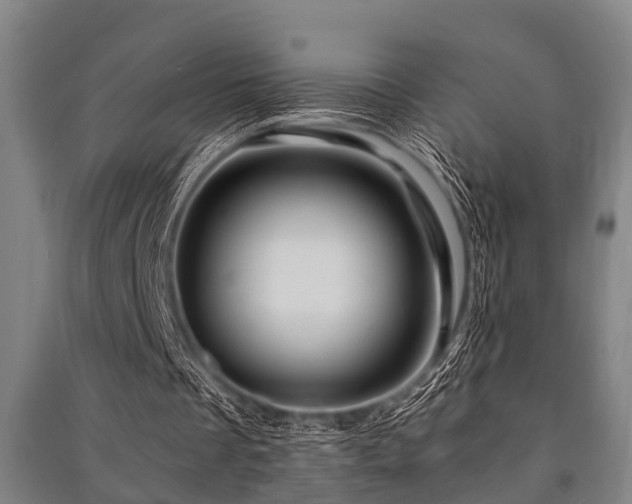 X0000091450289200708161303