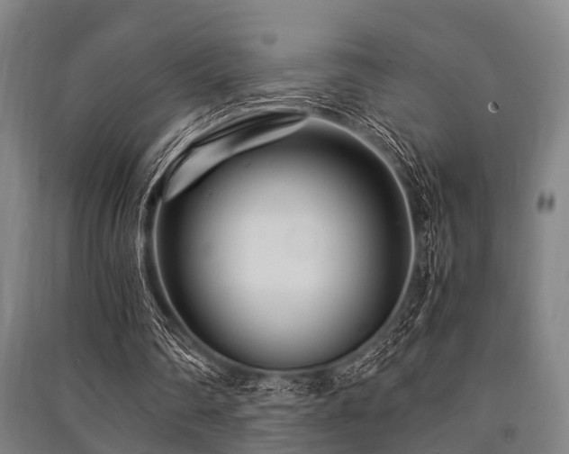 X0000091450290200708161303