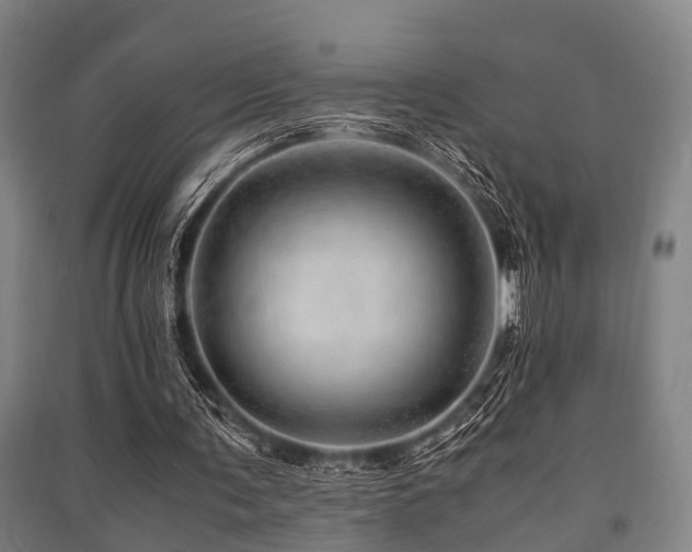 X0000091450291200708161303