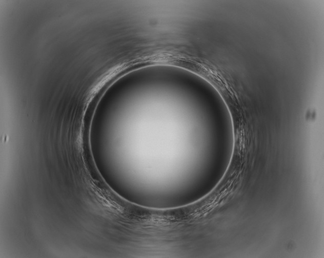X0000091450292200708161303