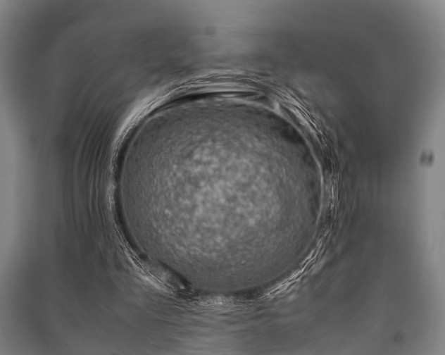 X0000091450293200708161303