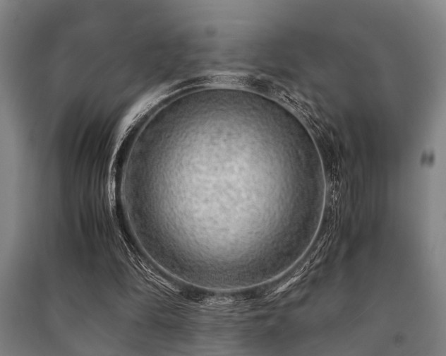 X0000091450294200708161303